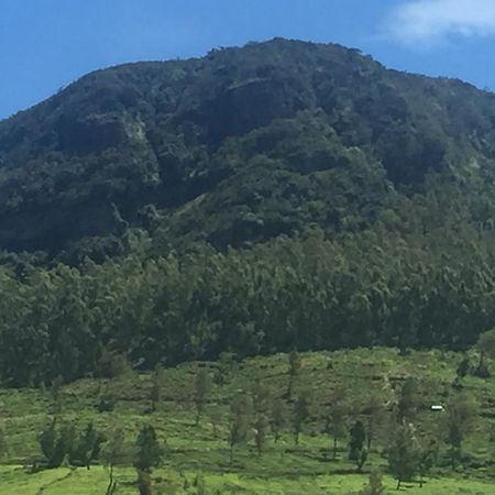 Perera Homestay ヌワラ・エリヤ エクステリア 写真