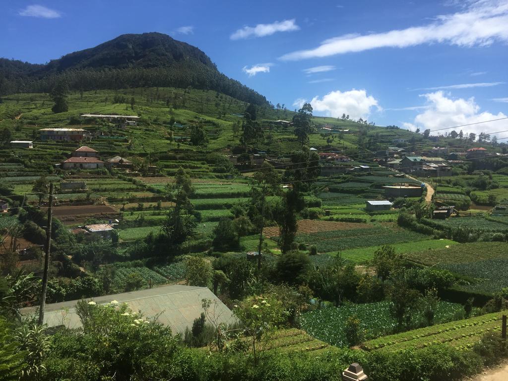 Perera Homestay ヌワラ・エリヤ エクステリア 写真