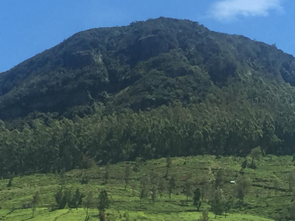 Perera Homestay ヌワラ・エリヤ エクステリア 写真