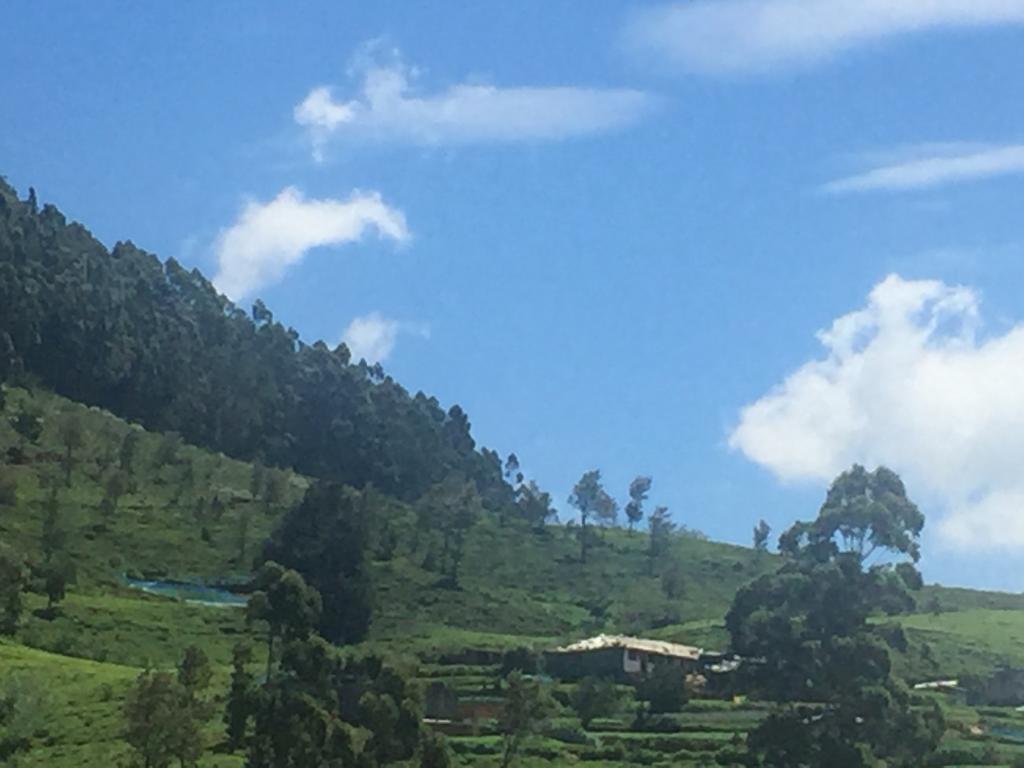 Perera Homestay ヌワラ・エリヤ エクステリア 写真