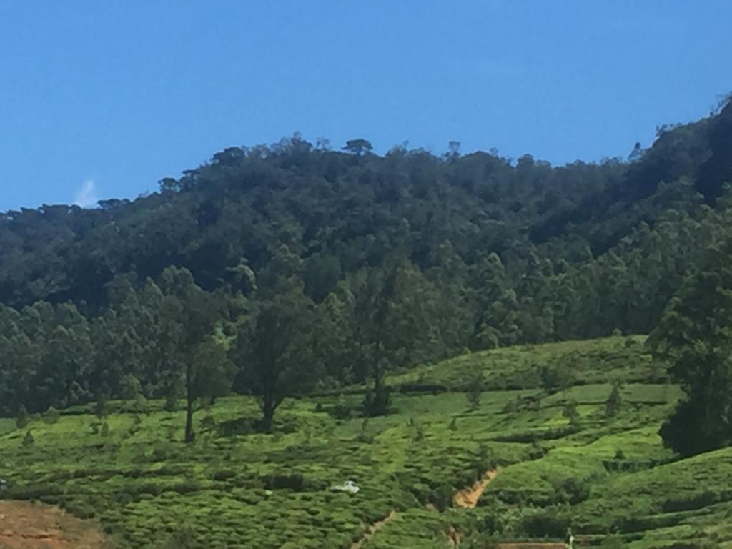 Perera Homestay ヌワラ・エリヤ エクステリア 写真